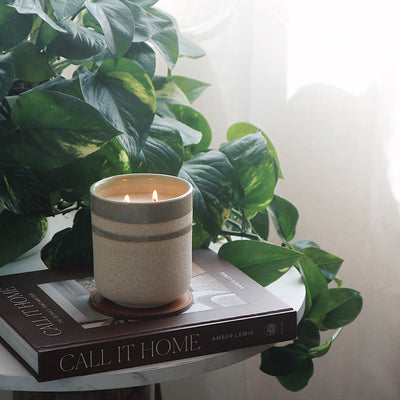 Candle on a book with a plant in the background
